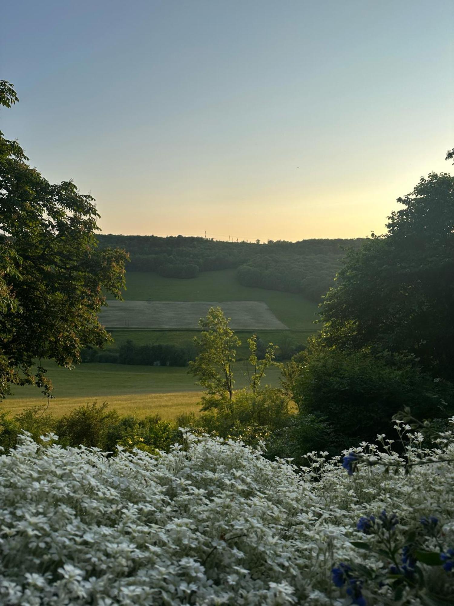 Chateau De Champrenault, Voyagez Dans Le Temps 外观 照片