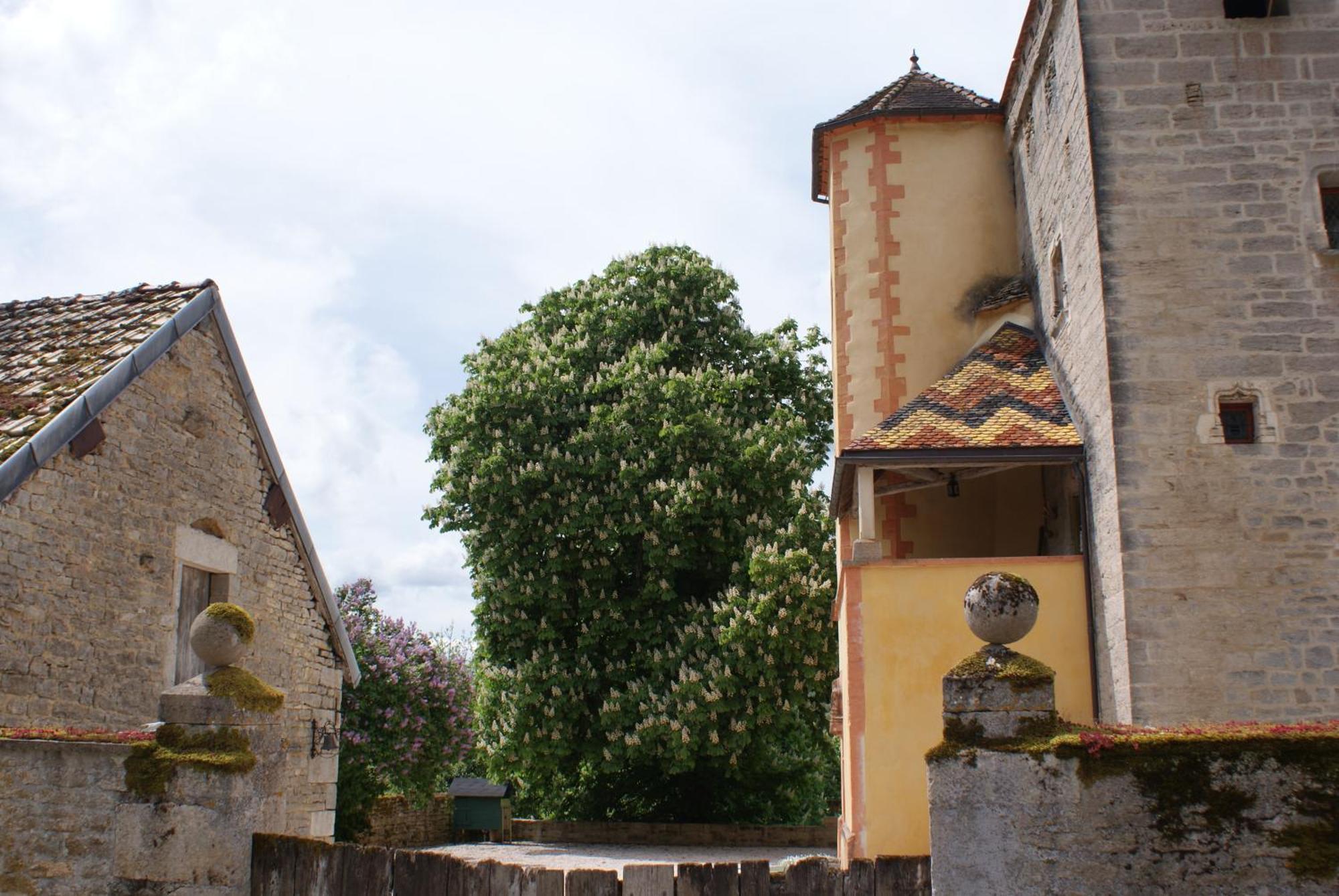 Chateau De Champrenault, Voyagez Dans Le Temps 外观 照片