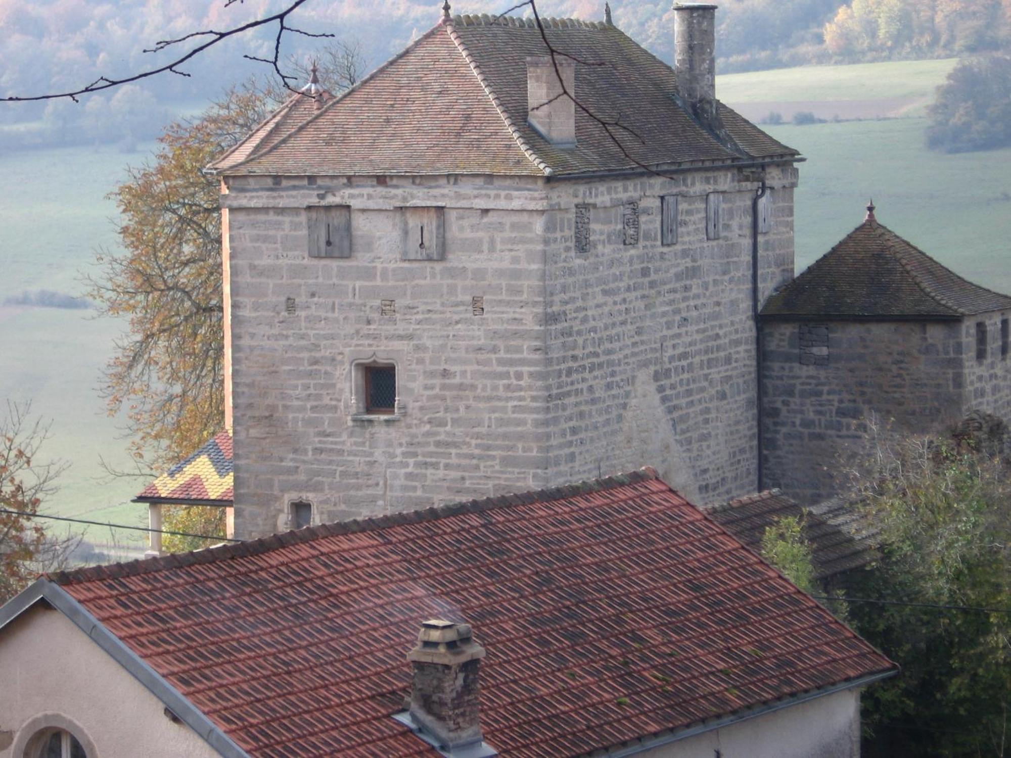 Chateau De Champrenault, Voyagez Dans Le Temps 外观 照片